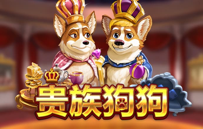 雷泽体育平台app